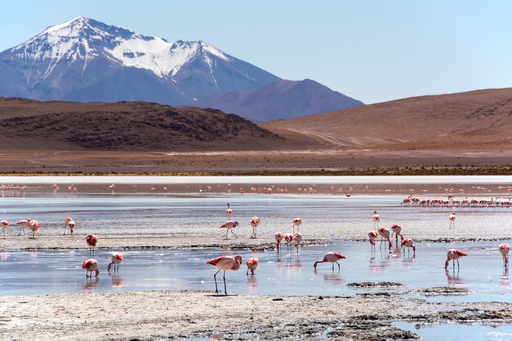 Sur Lípez y frontera chilena